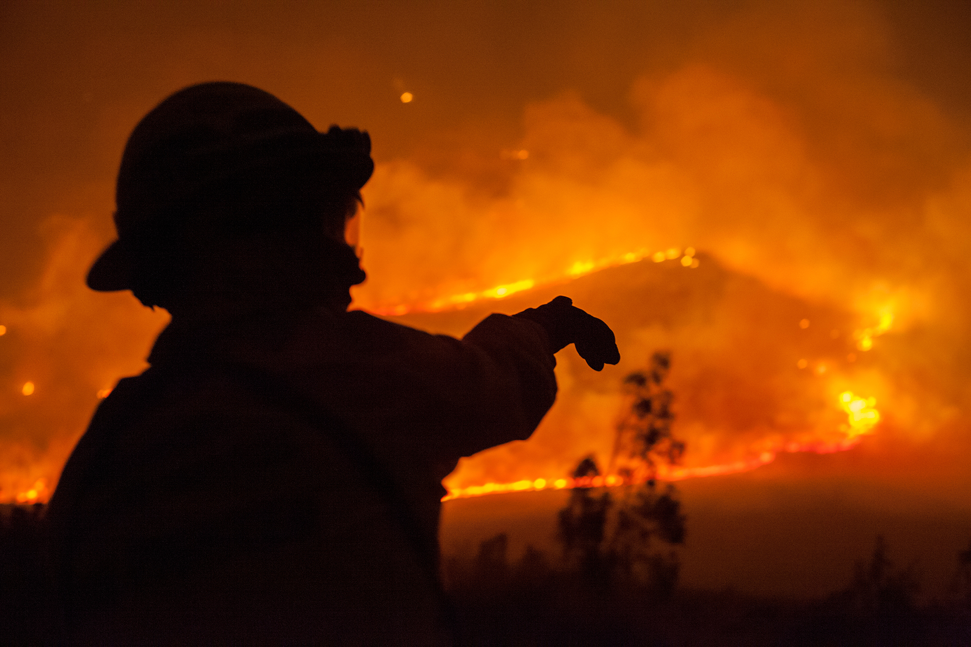 Wildfire News: The Latest on a Nationwide Disaster